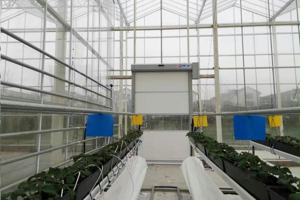 上海养殖大棚快速门